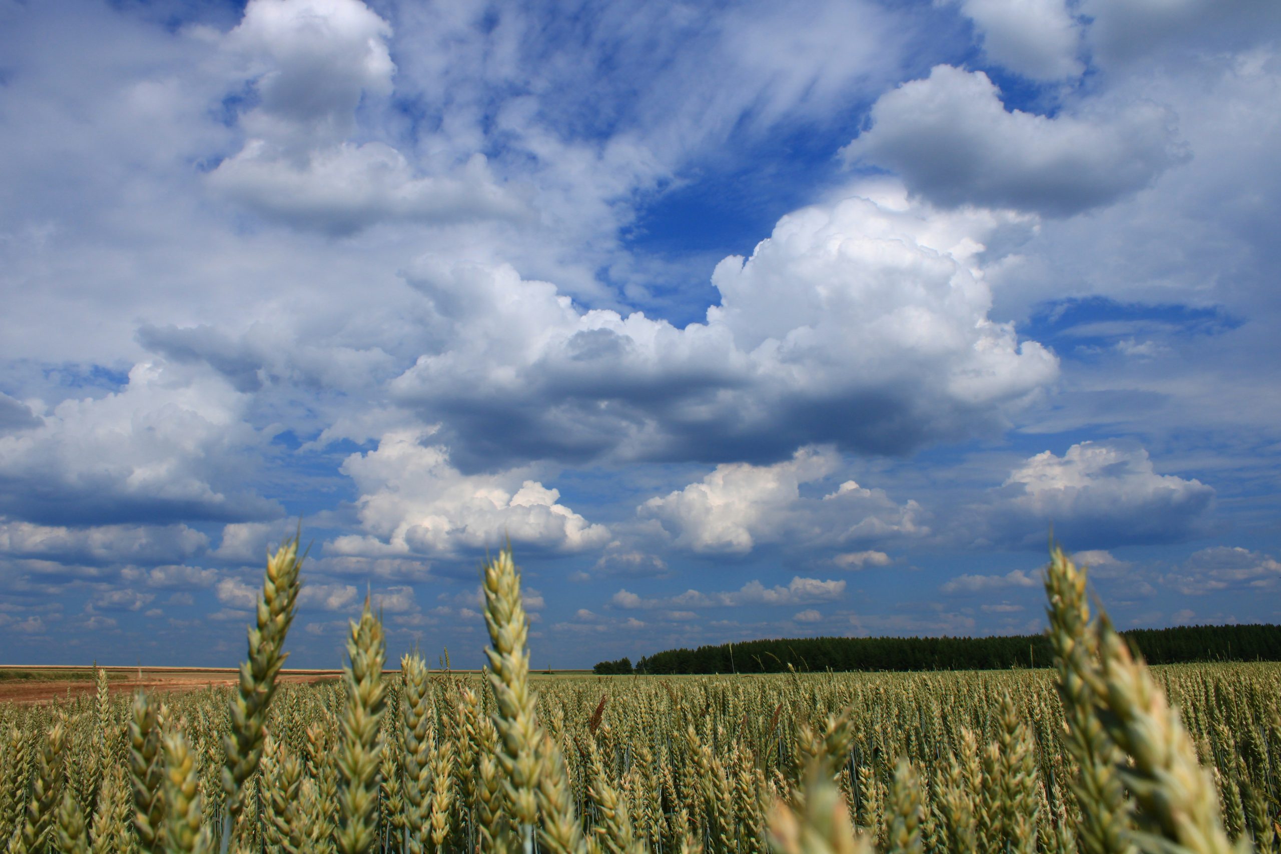 The Rise of Insetprag: How It’s Transforming [Industry/Field]